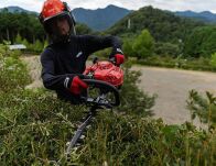 Spalinowe nożyce do żywopłotu SHINDAIWA DH202